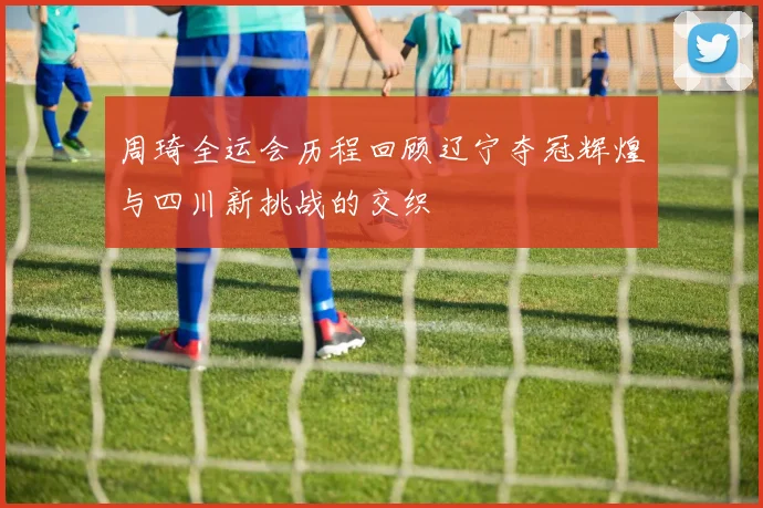 周琦全运会历程回顾辽宁夺冠辉煌与四川新挑战的交织
