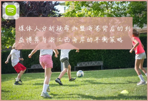 媒体人分析杨希加盟海港背后的利益博弈与浙江西海岸的平衡策略