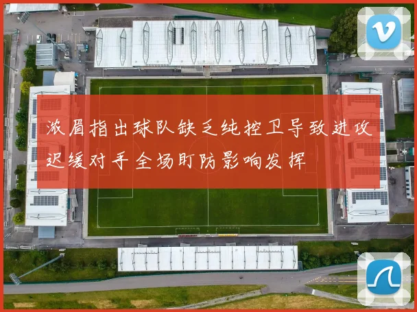 浓眉指出球队缺乏纯控卫导致进攻迟缓对手全场盯防影响发挥