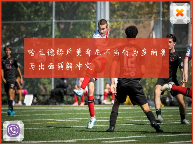 哈兰德怒斥曼奇尼不当行为多纳鲁马出面调解冲突