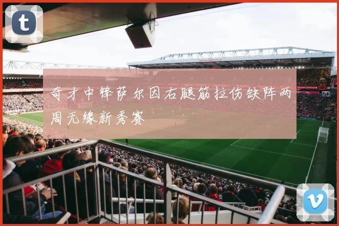 奇才中锋萨尔因右腿筋拉伤缺阵两周无缘新秀赛